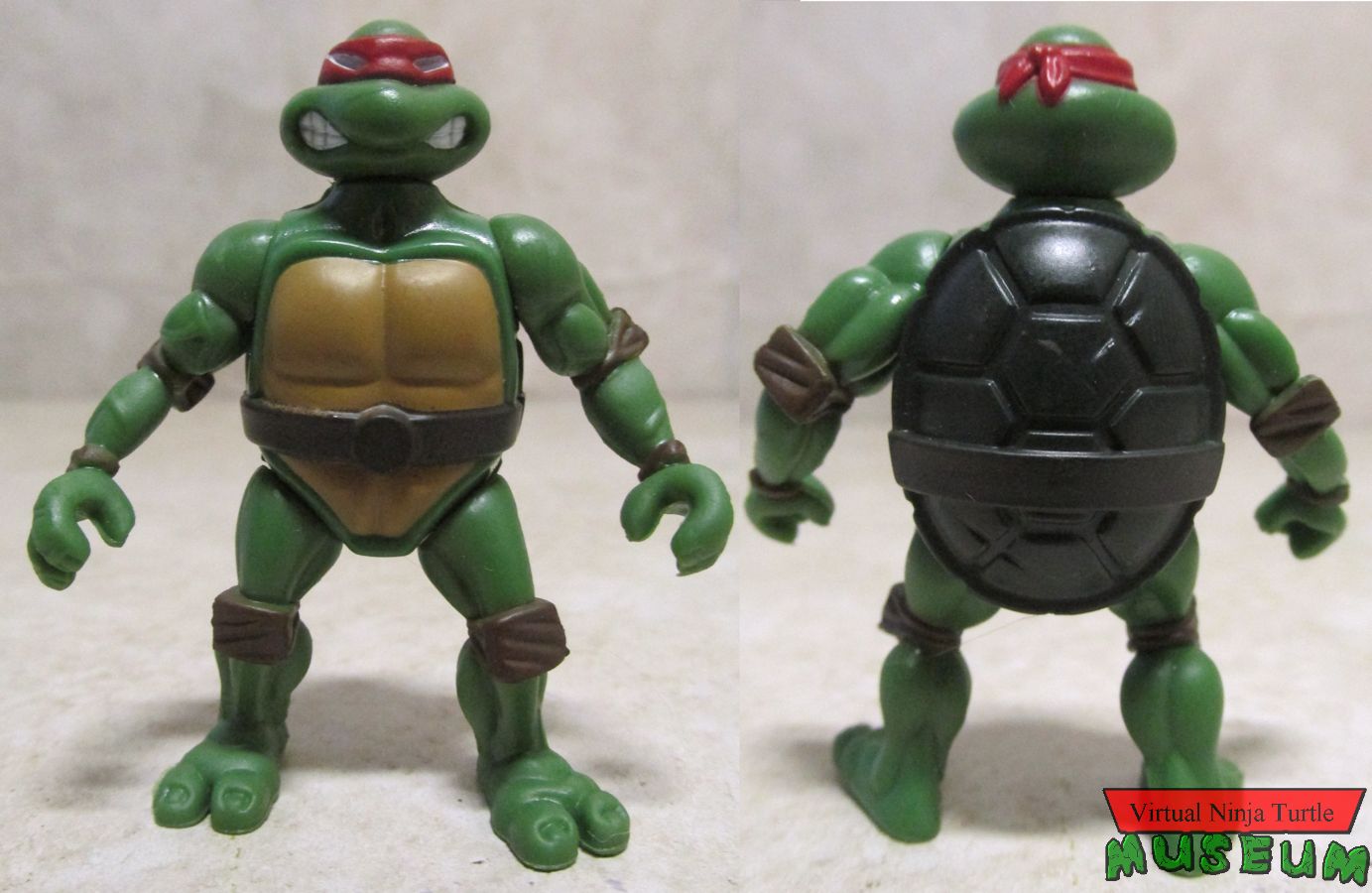 Raphael front and back