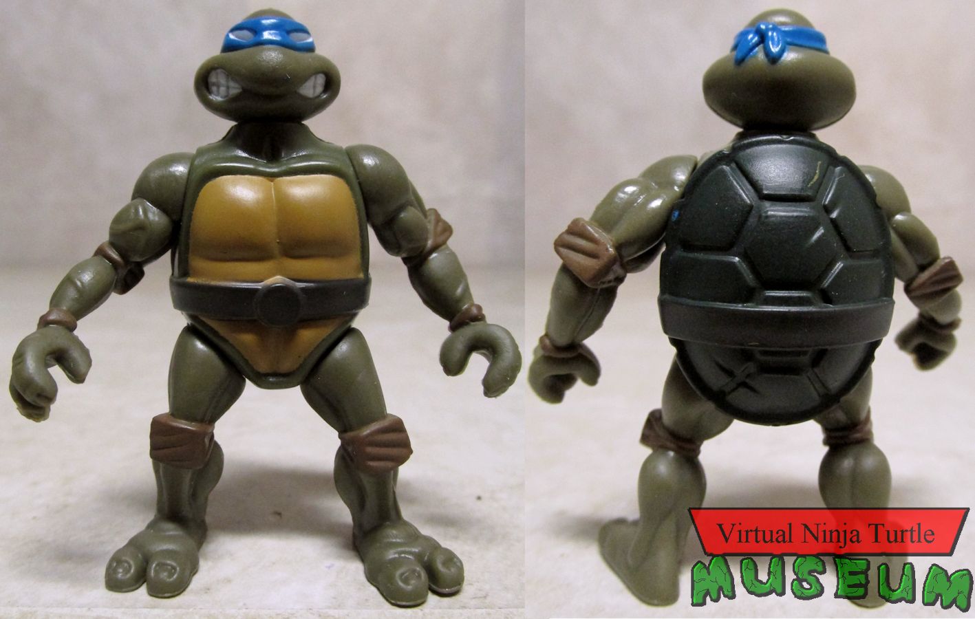 Leonardo front and back