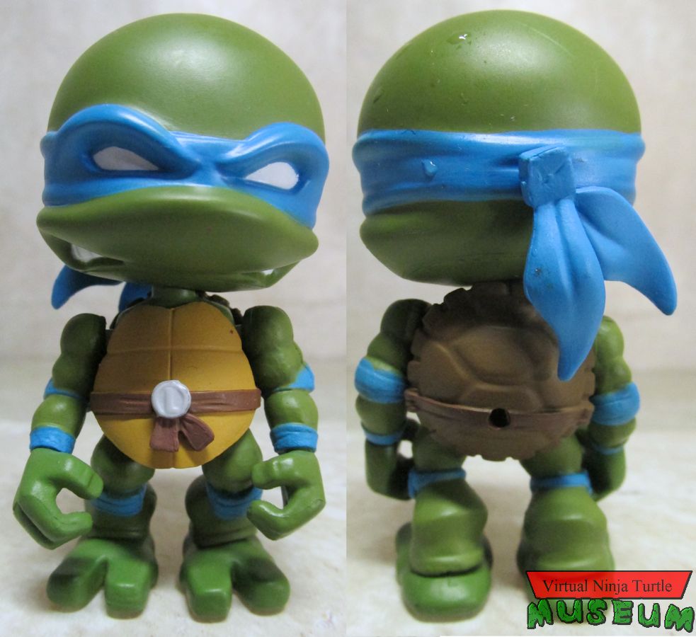 Leonardo front and back