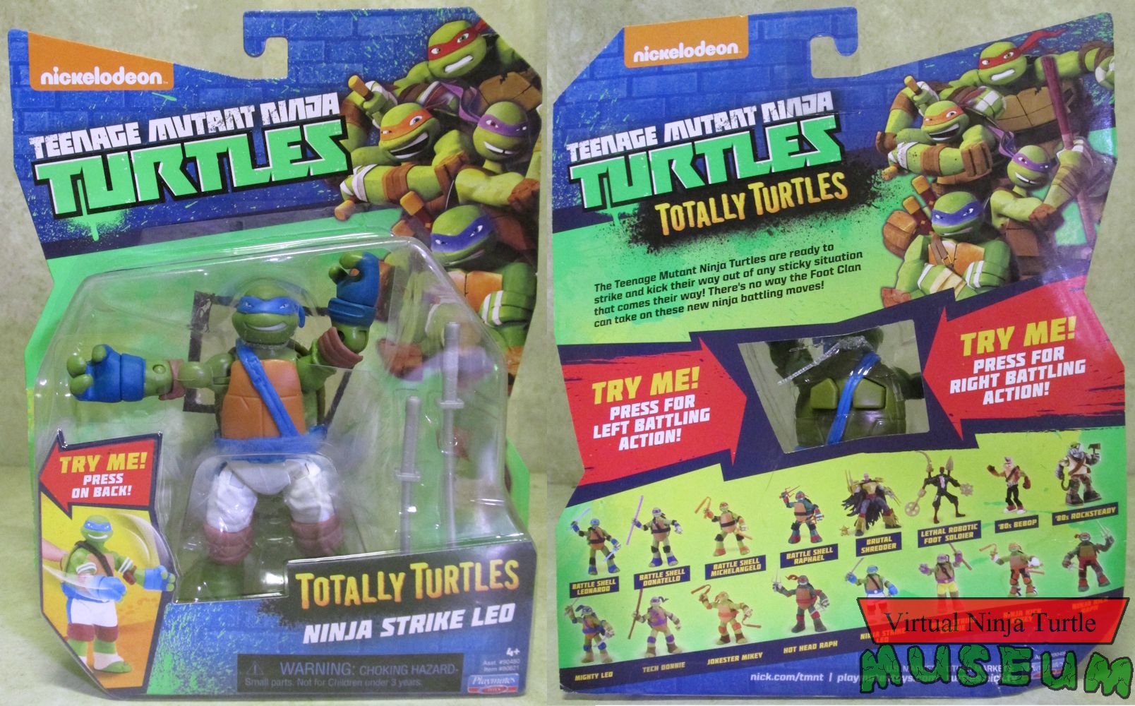 Totally Turtles card front and back