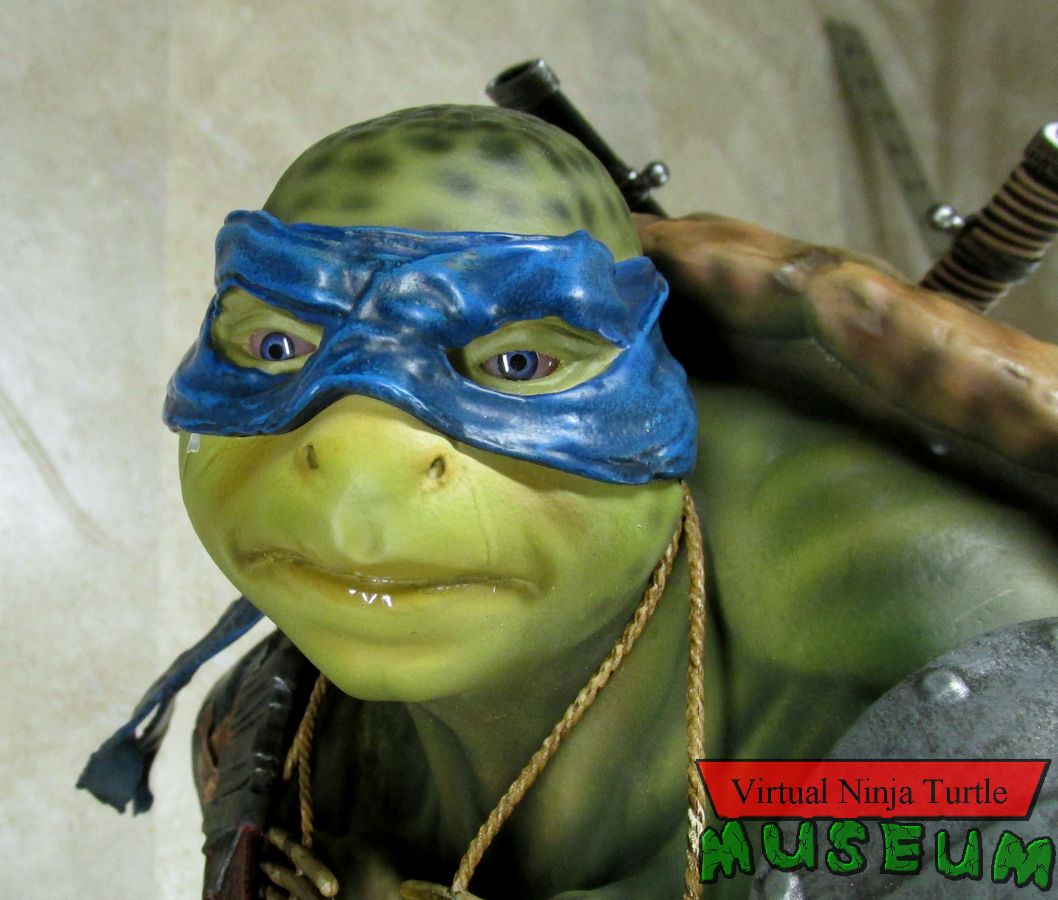 leonardo close up