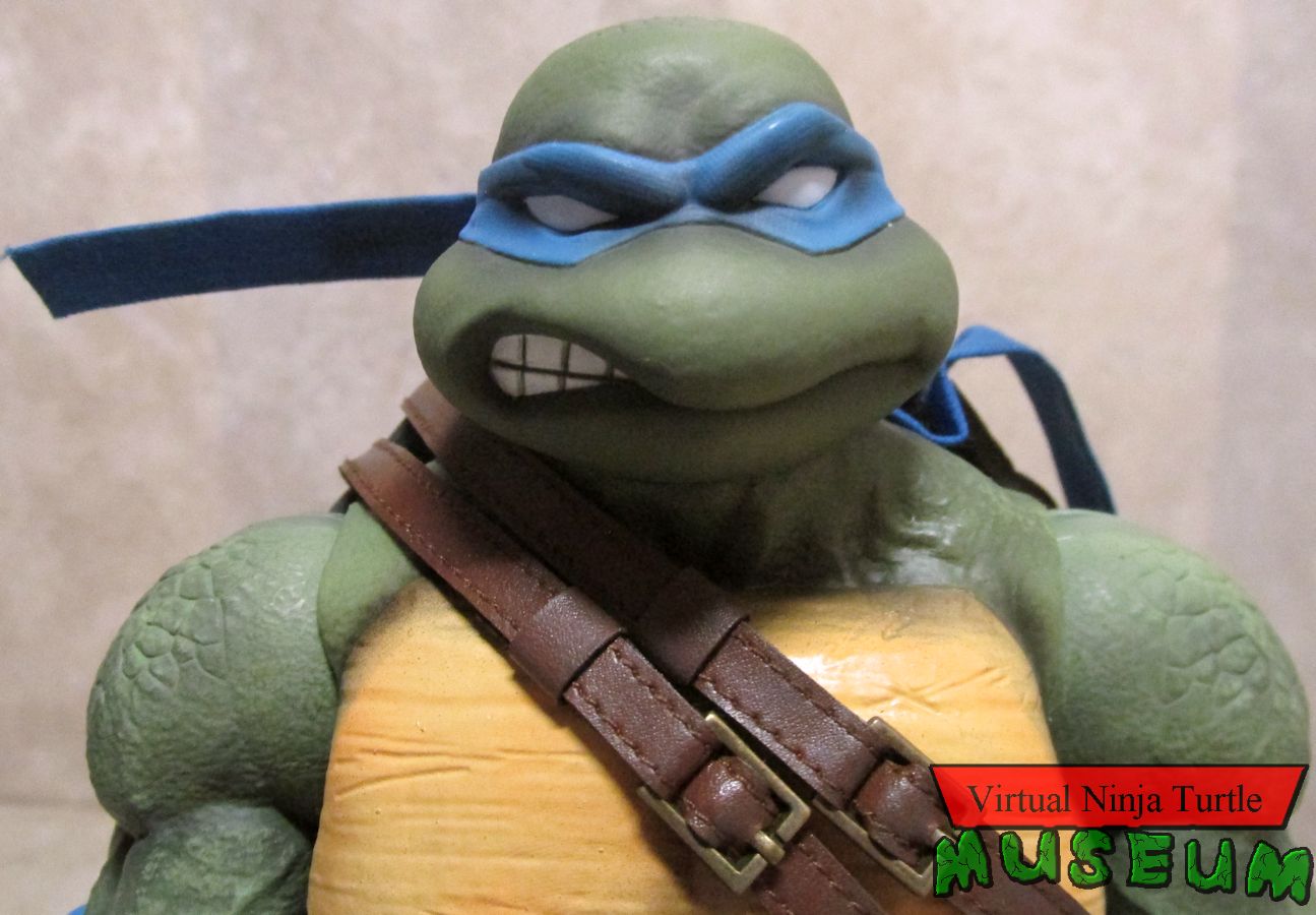 Leonardo close up