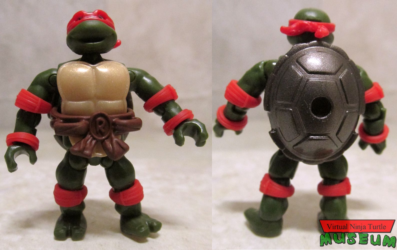 Raphael front and back