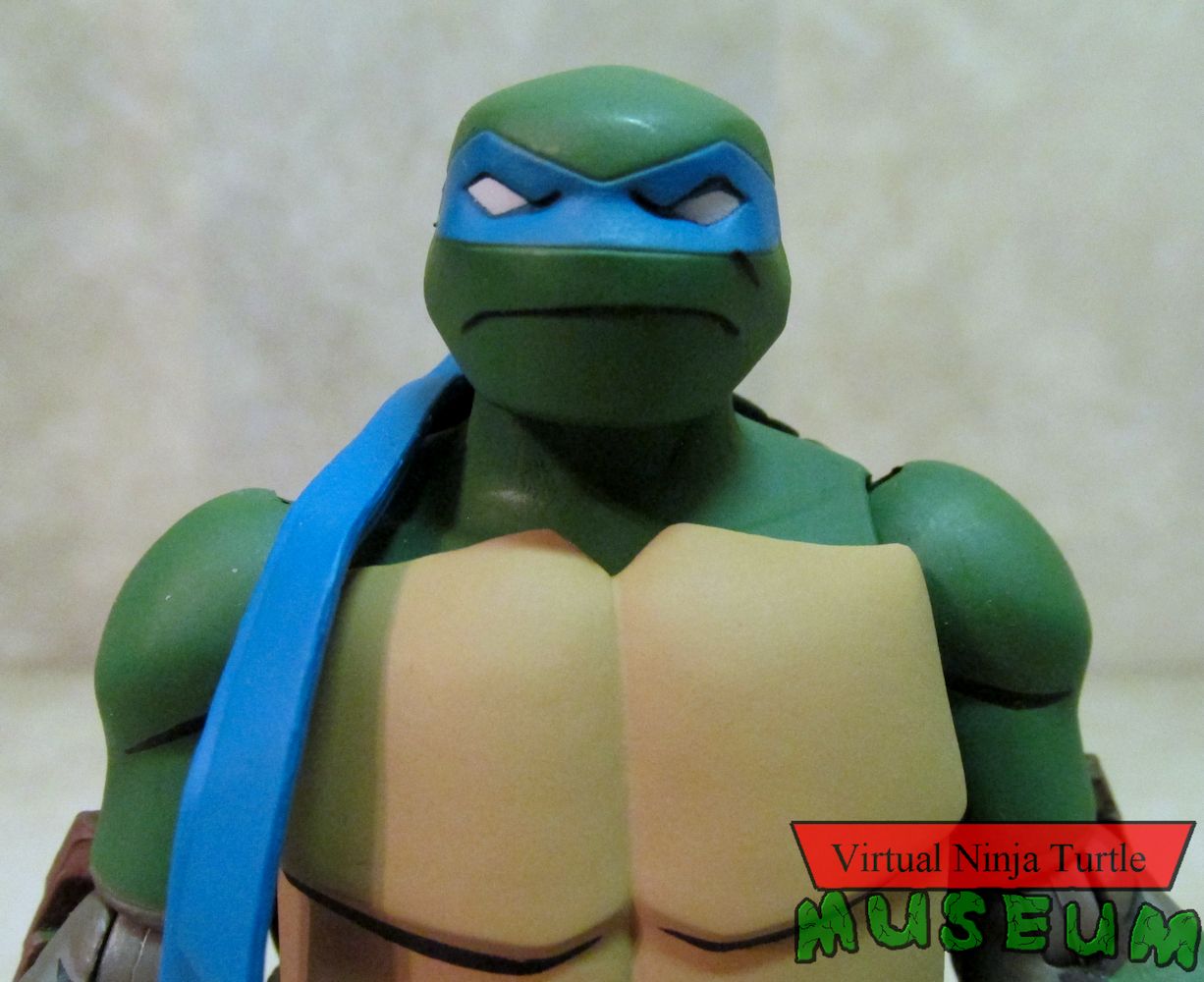 Leonardo close up