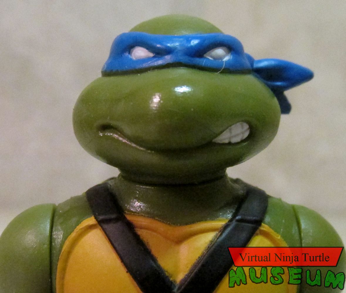 Leonardo close up