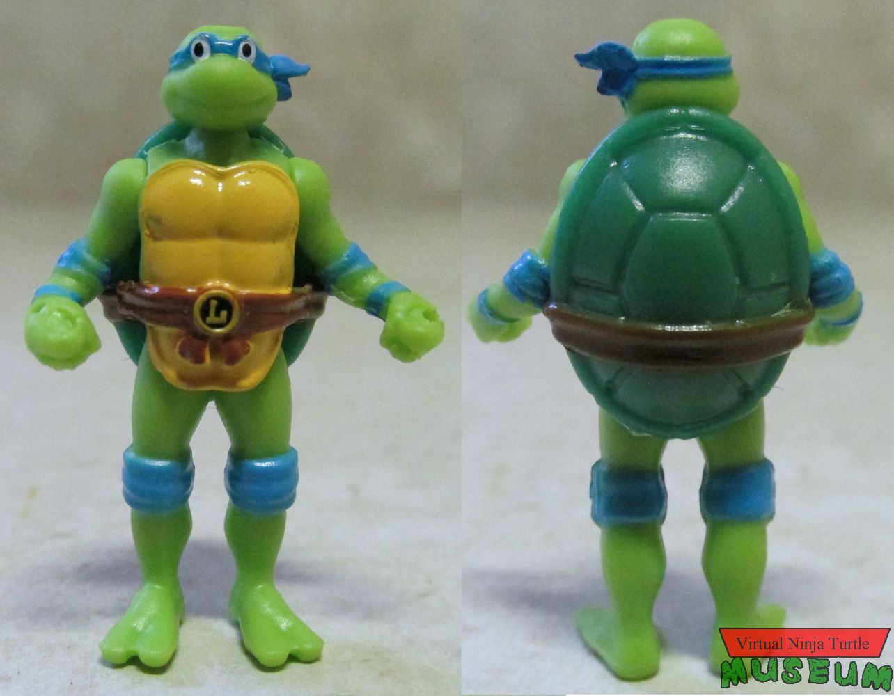 Leonardo front and back