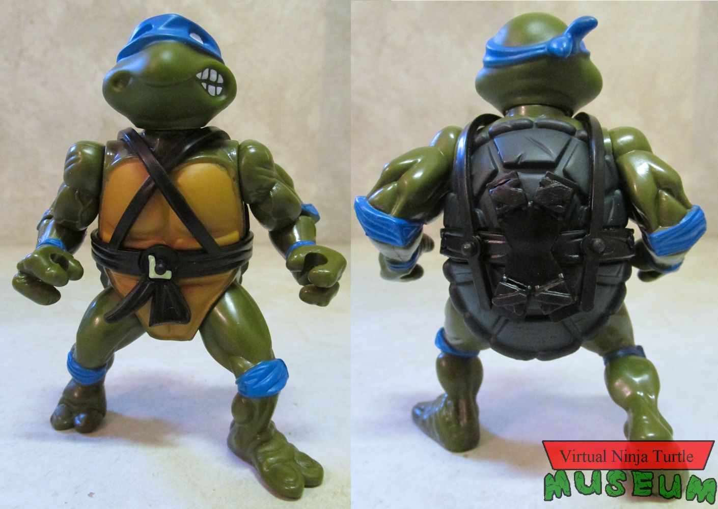 Leonardo front and back