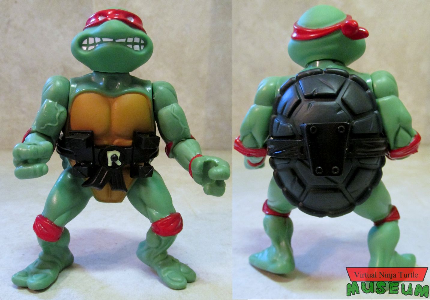 Raphael front and back