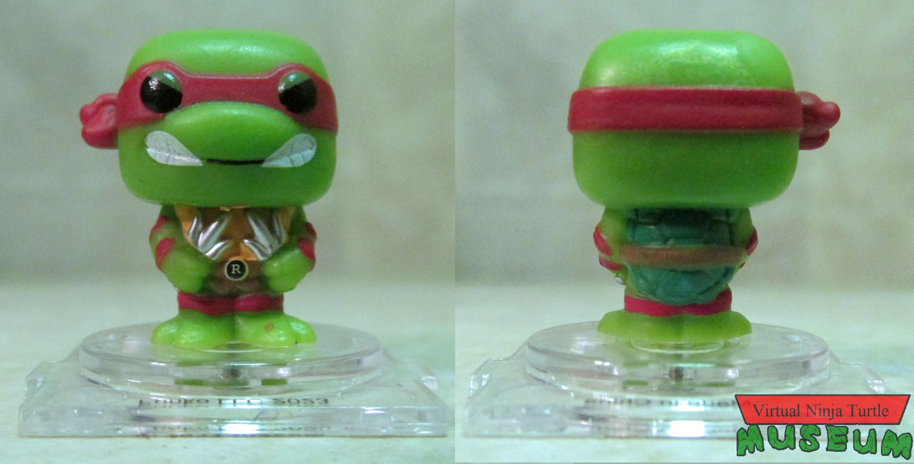 Raphael front and back