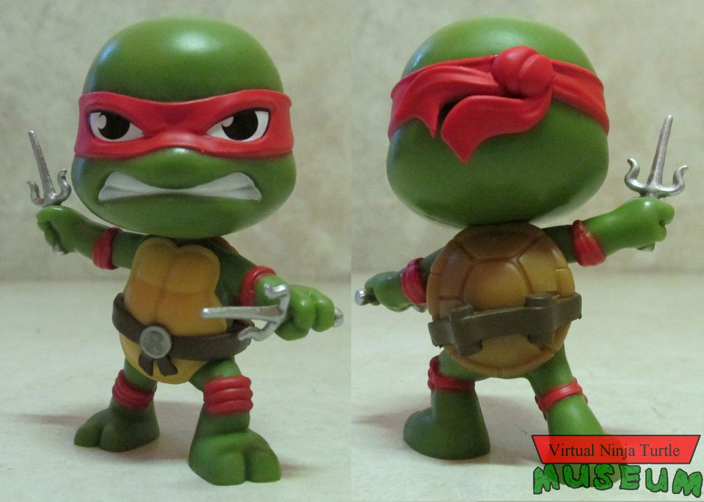 Raphael front and back