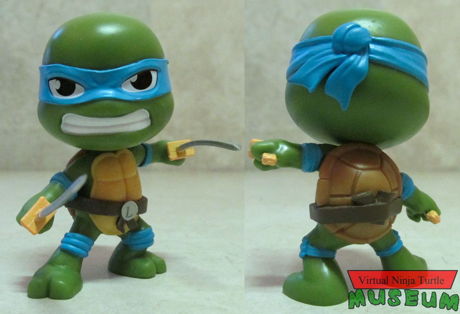 Leonardo front and back