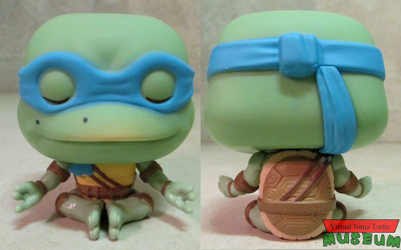 Leonardo front and back