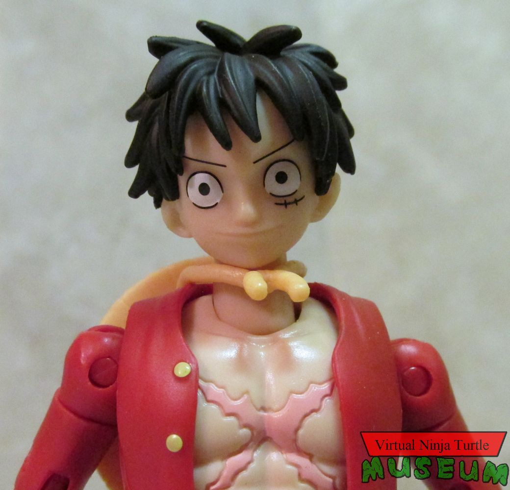 Monkey D Luffy close up