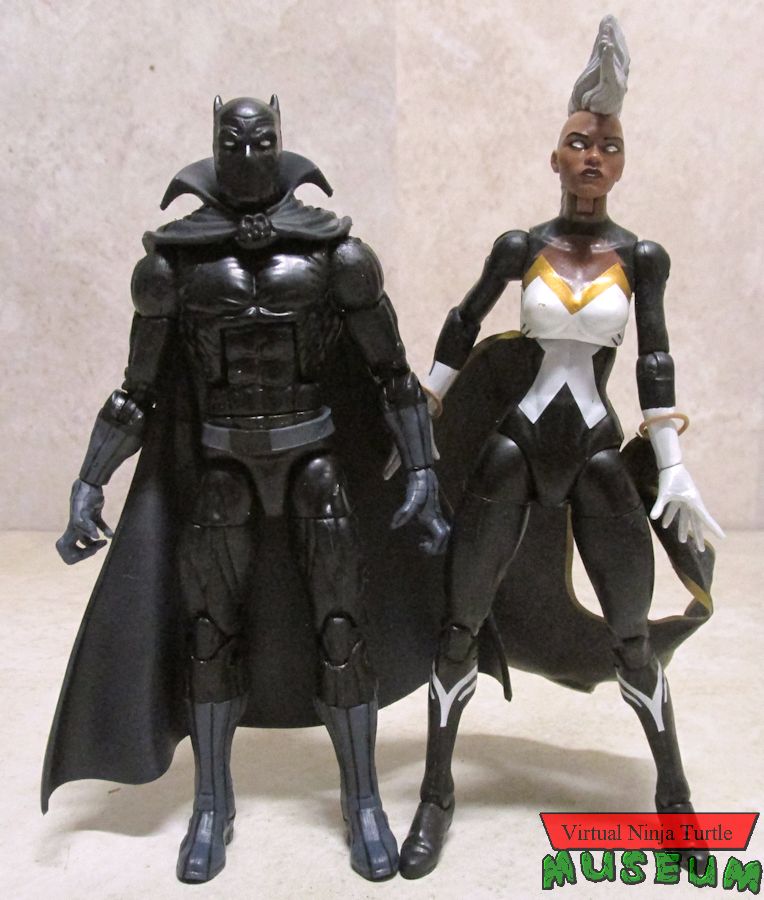 Black Panther and Storm