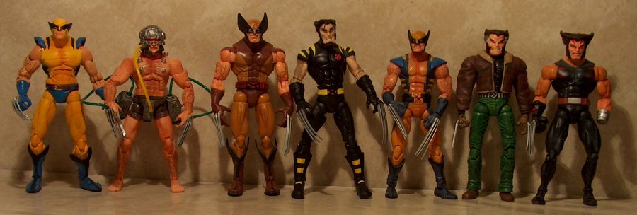 Wolverines