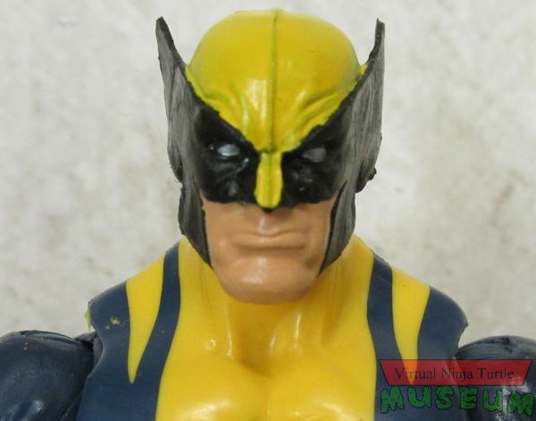 Wolverine close up